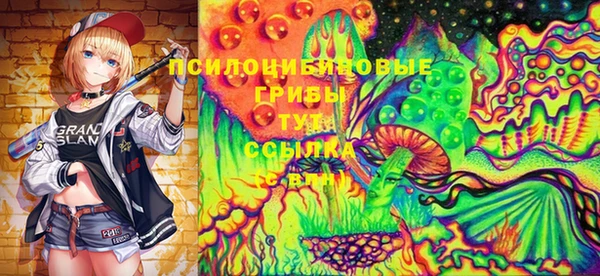 крисы Алексин