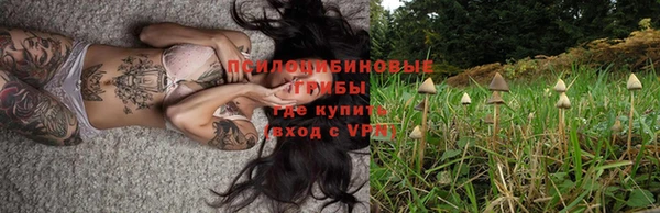 крисы Алексин