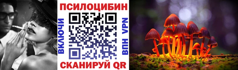 Псилоцибиновые грибы мицелий  Хвалынск 
